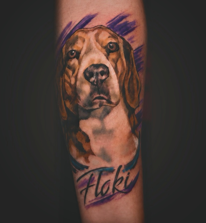 Retrato de Mascota Floki — Marco Salinas
